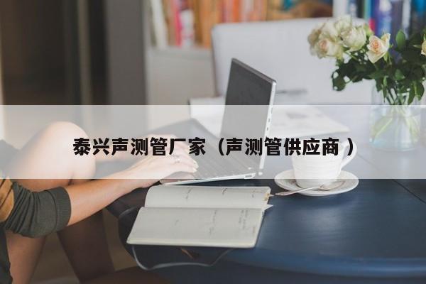 泰興聲測(cè)管廠家（聲測(cè)管供應(yīng)商 ）